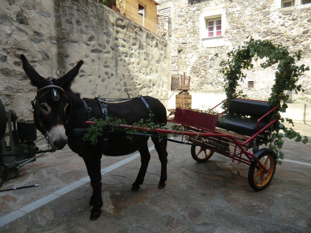 Le Moulin De Sournia Hotel Exterior photo